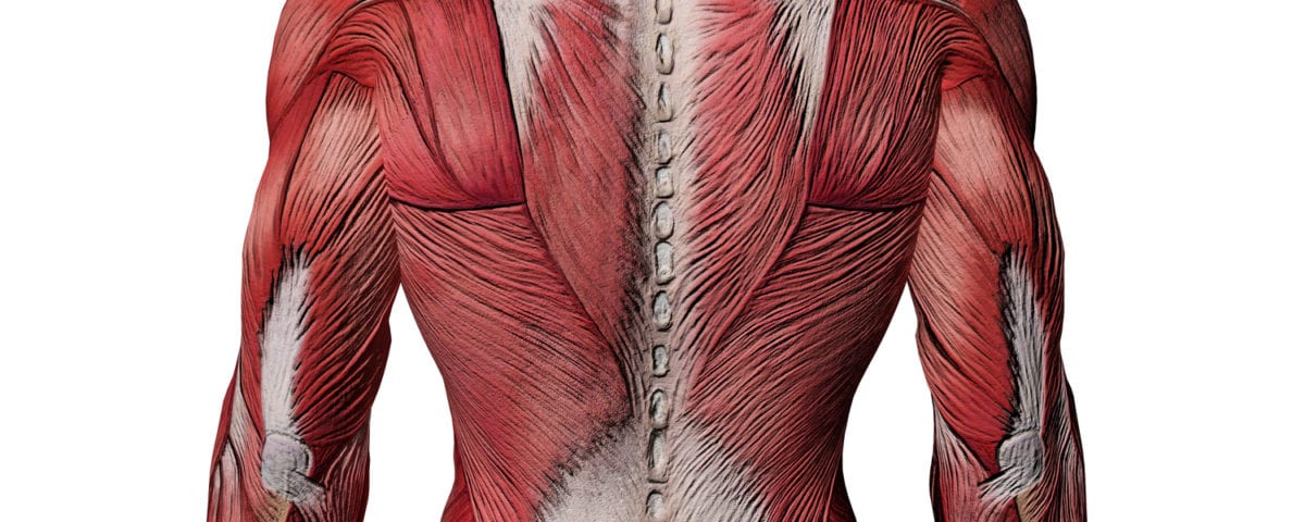 Common Spinal Muscle Injuries