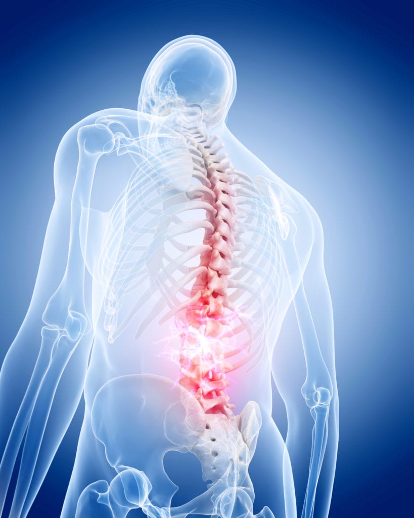 The Lumbar Spine: Anatomy, Function, and Common Injuries | Spine Center