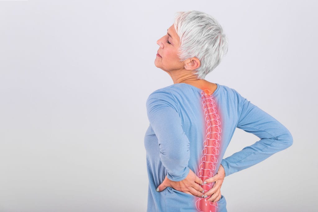 spinal vertabrae - back pain